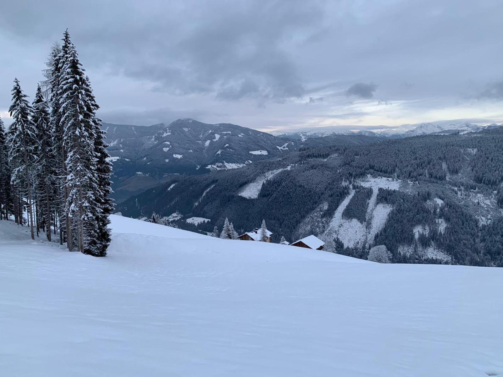 ビショフスホーフェン Bio Alpenhof Rostattヴィラ エクステリア 写真