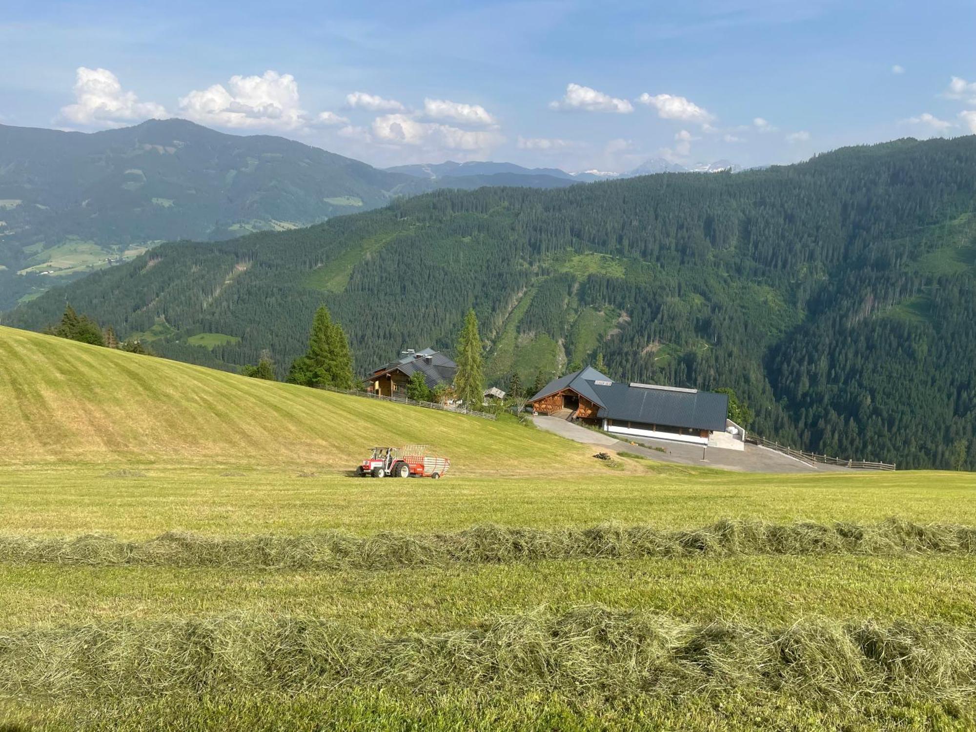 ビショフスホーフェン Bio Alpenhof Rostattヴィラ エクステリア 写真